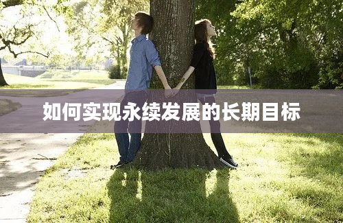 如何实现永续发展的长期目标