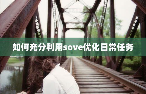 如何充分利用sove优化日常任务