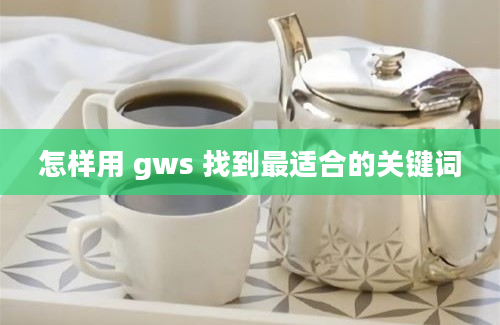 怎样用 gws 找到最适合的关键词