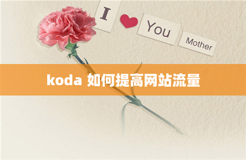 koda 如何提高网站流量