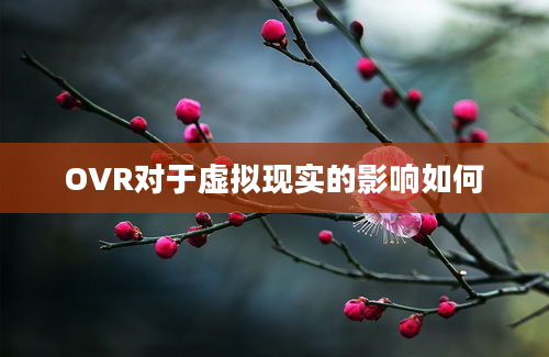 OVR对于虚拟现实的影响如何