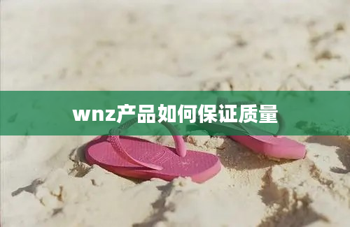 wnz产品如何保证质量