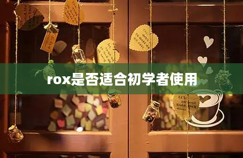 rox是否适合初学者使用