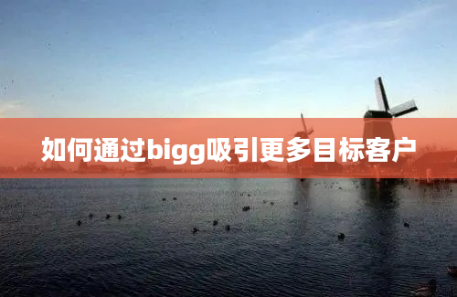 如何通过bigg吸引更多目标客户