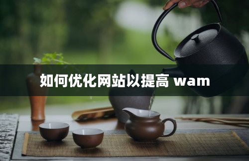 如何优化网站以提高 wam