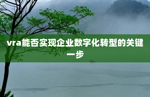 vra能否实现企业数字化转型的关键一步