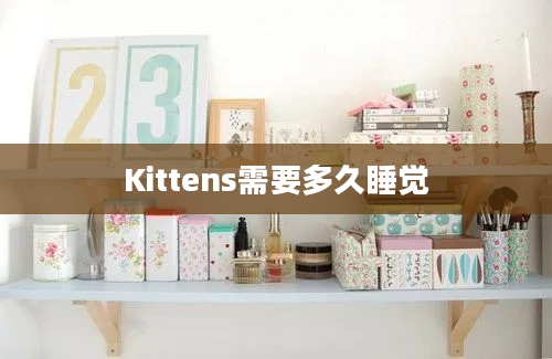 Kittens需要多久睡觉