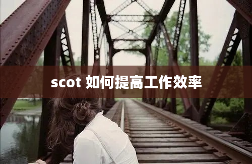 scot 如何提高工作效率