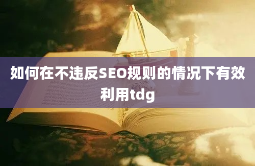 如何在不违反SEO规则的情况下有效利用tdg