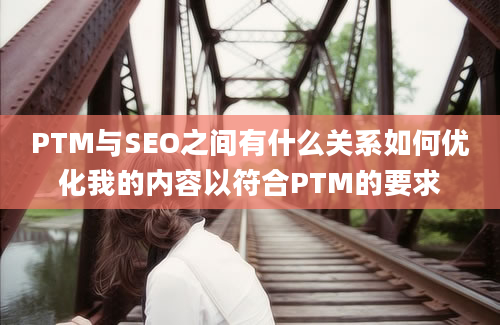 PTM与SEO之间有什么关系如何优化我的内容以符合PTM的要求