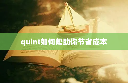 quint如何帮助你节省成本