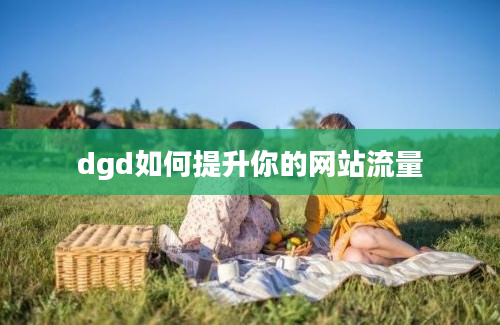 dgd如何提升你的网站流量