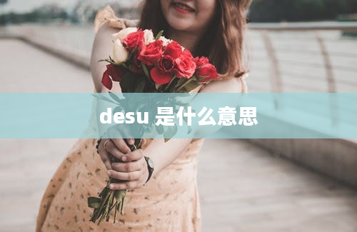 desu 是什么意思