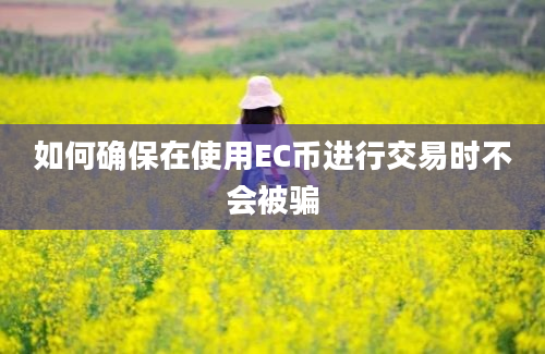 如何确保在使用EC币进行交易时不会被骗