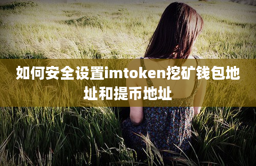 如何安全设置imtoken挖矿钱包地址和提币地址