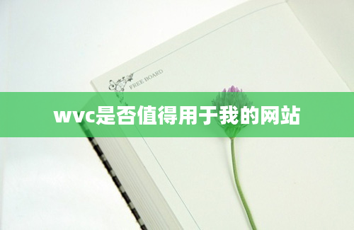 wvc是否值得用于我的网站