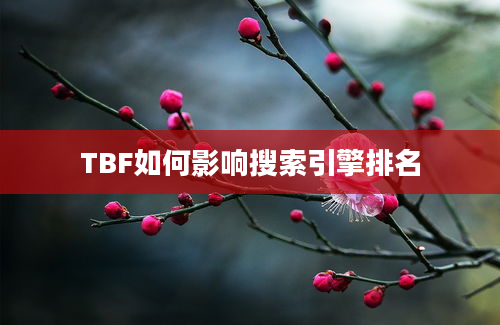 TBF如何影响搜索引擎排名