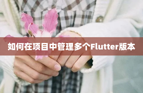 如何在项目中管理多个Flutter版本