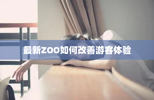 最新ZOO如何改善游客体验