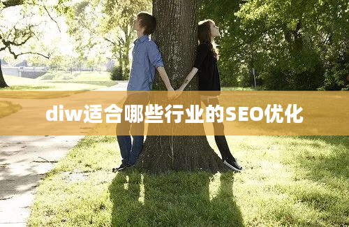 diw适合哪些行业的SEO优化