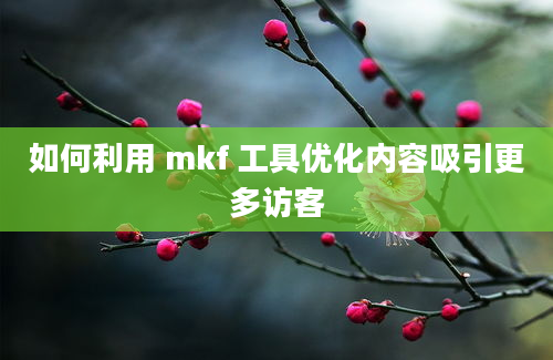 如何利用 mkf 工具优化内容吸引更多访客