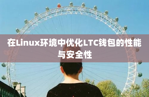 在Linux环境中优化LTC钱包的性能与安全性