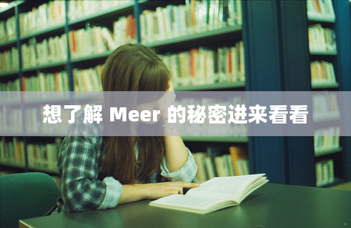 想了解 Meer 的秘密进来看看