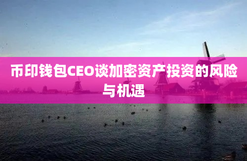 币印钱包CEO谈加密资产投资的风险与机遇