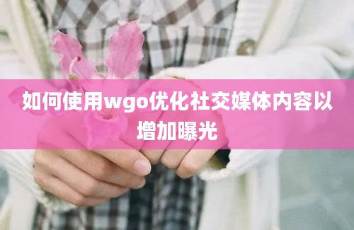 如何使用wgo优化社交媒体内容以增加曝光