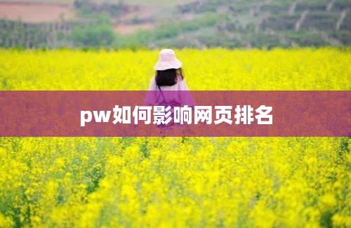 pw如何影响网页排名