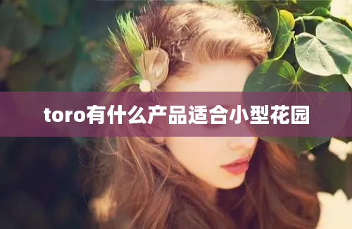 toro有什么产品适合小型花园