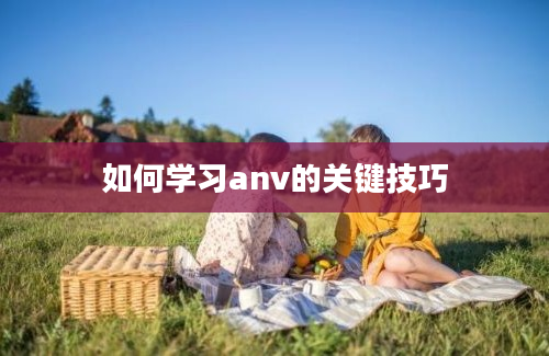 如何学习anv的关键技巧