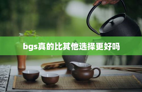 bgs真的比其他选择更好吗