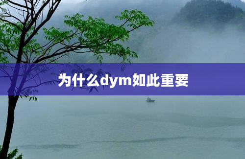 为什么dym如此重要