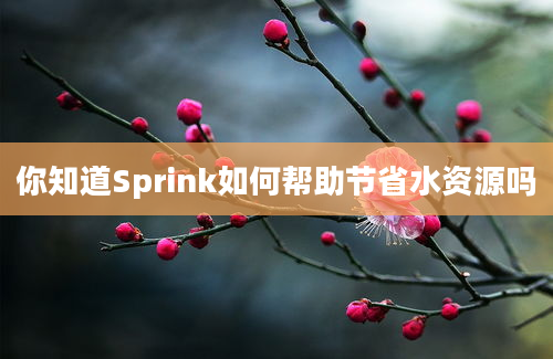 你知道Sprink如何帮助节省水资源吗