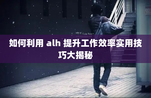 如何利用 alh 提升工作效率实用技巧大揭秘