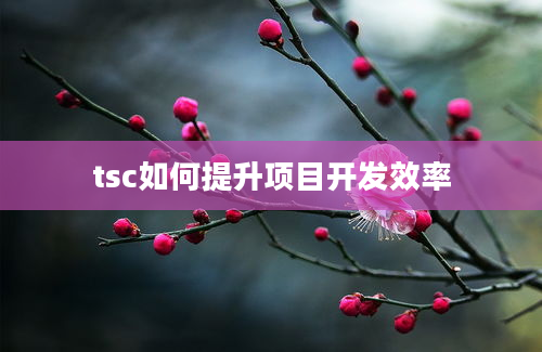 tsc如何提升项目开发效率