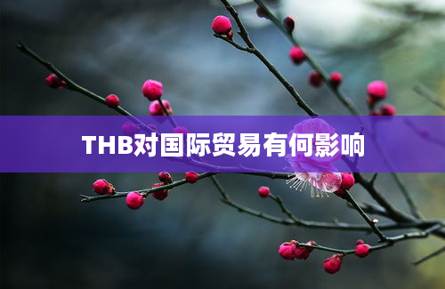 THB对国际贸易有何影响