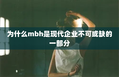 为什么mbh是现代企业不可或缺的一部分