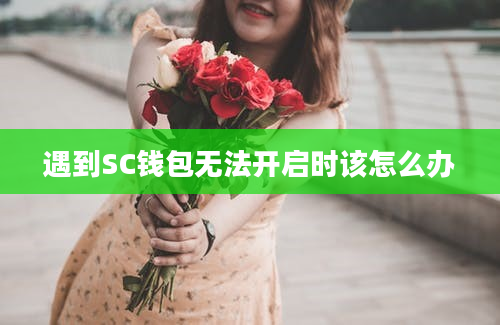 遇到SC钱包无法开启时该怎么办