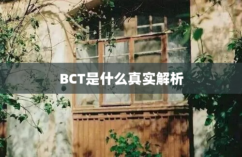 BCT是什么真实解析