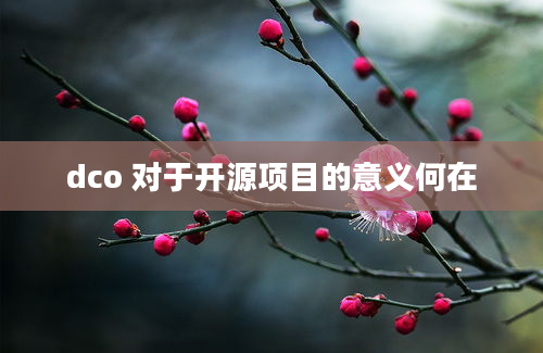 dco 对于开源项目的意义何在