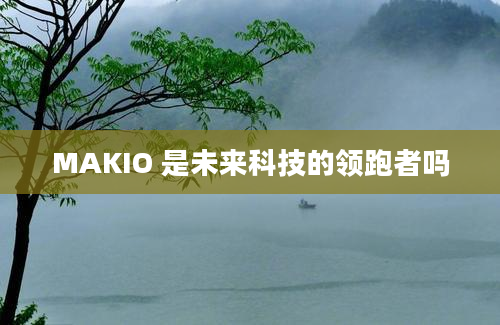 MAKIO 是未来科技的领跑者吗