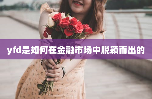 yfd是如何在金融市场中脱颖而出的