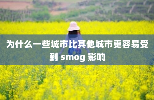 为什么一些城市比其他城市更容易受到 smog 影响