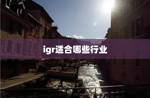 igr适合哪些行业