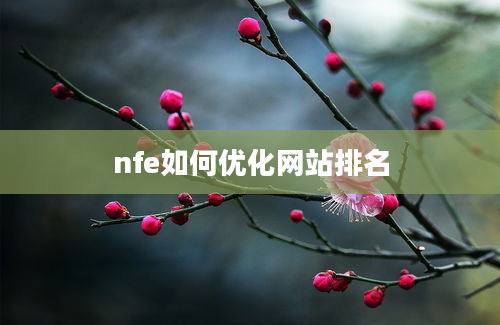 nfe如何优化网站排名