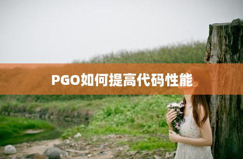 PGO如何提高代码性能