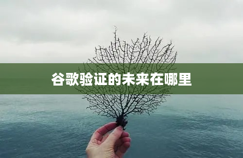 谷歌验证的未来在哪里