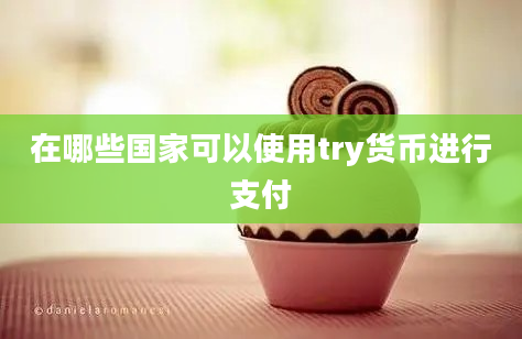 在哪些国家可以使用try货币进行支付